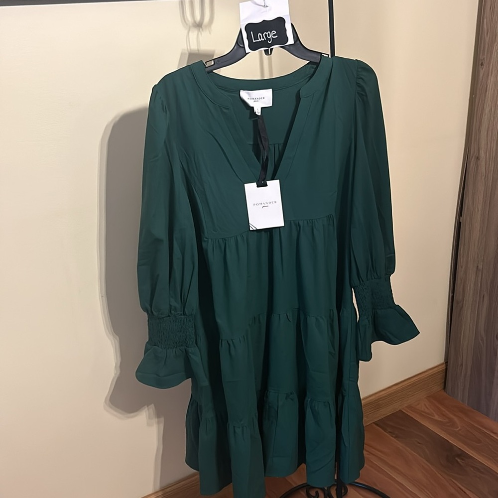 Hunter Green Crepe Kenzo Dress
POMANDER PLACE - Picture 10 of 13